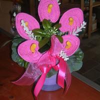 Fiori uncinetto - cinque anthurium rosa