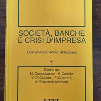 Società banche e crisi  d'impresa 
