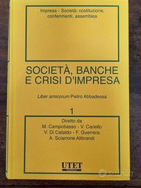 Società banche e crisi  d'impresa 