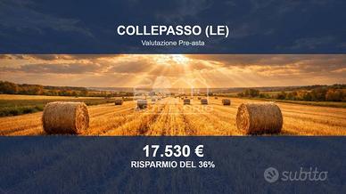 Immobile in asta di 26550 m² a Collepasso