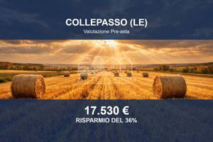Immobile in asta di 26550 m² a Collepasso
