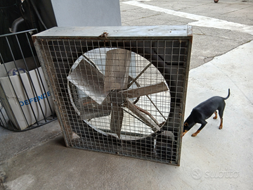 Ventilatore per animali