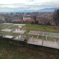 Gabbie per piccolo allevamento vilatili