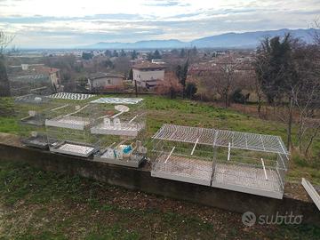 Gabbie per piccolo allevamento vilatili