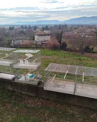 Gabbie per piccolo allevamento vilatili