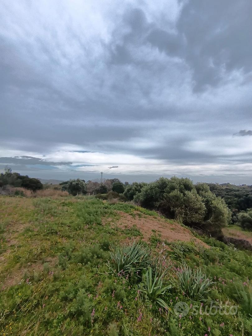 BARONE - Terreno agricolo - Vista 2