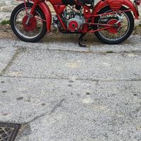 Moto Guzzi Altro modello - Anni 50