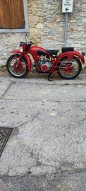 Moto Guzzi Altro modello - Anni 50
