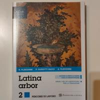 Latino arbor 2