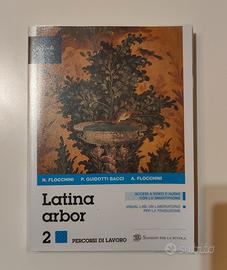 Latino arbor 2
