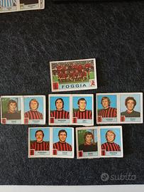 Lotto Figurine Foggia 1975/76