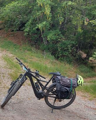 bici assistita 