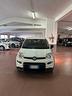 fiat-panda-cross-1-0-firefly-s-s-hybrid