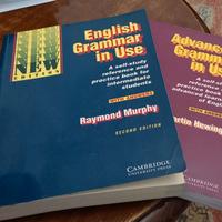Due eccellenti testi di grammatica inglese "self"