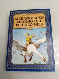 Meraviglioso viaggio del piccolo Nils di Largerlöf