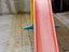 Immagine 6