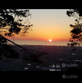 Terreno zona Pietrasanta, Massarosa, Camaiore