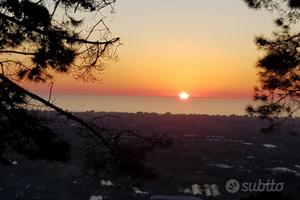 Terreno zona Pietrasanta, Massarosa, Camaiore