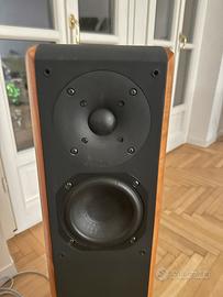 Chario Constellation Cygnus altoparlanti