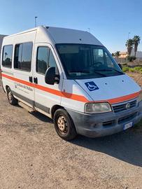 Fiat Ducato 2.8 JTD, pulmino 8 posti con pedana