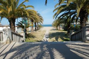 Mare in riviera delle palme