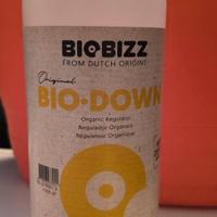 Regolatore di pH Down organico BioBizz 1 L