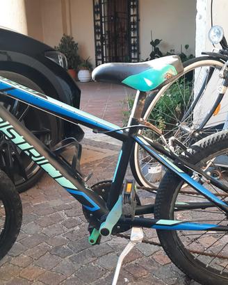bicicletta bambino