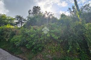 TERRENO A GROTTAFERRATA