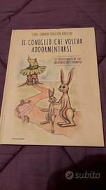 Il coniglio che voleva addormentarsi