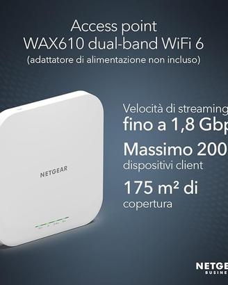 NETGEAR  Wireless WAX610 - WiFi 6 dual-band AX180