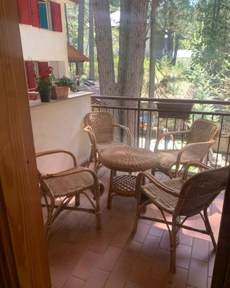 Appartamento appena ristrutturato sila