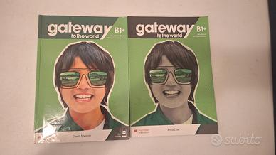 Gateway B1+ Student's e Workbook