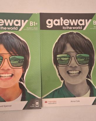 Gateway B1+ Student's e Workbook