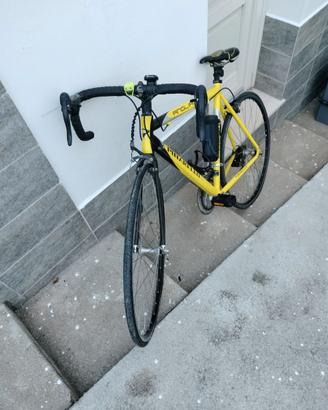 Bicicletta Pinarello usata pochissimo