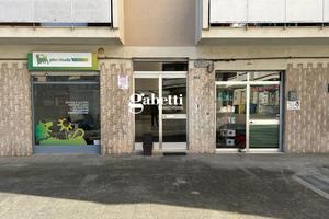 Appartamento Canosa di Puglia