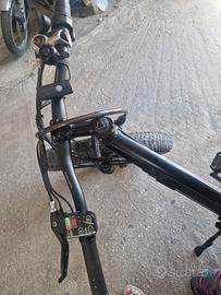 bicicletta elettrica 