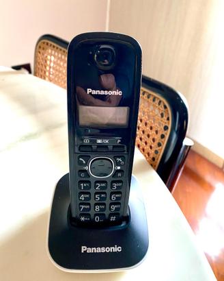 Panasonic KX TG7301JT