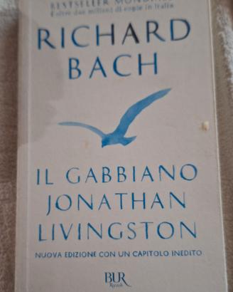 Il gabbiano Jonathan Livingston