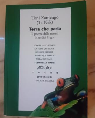 Raro Poema 12 Lingue-Terra che Parla-Marsilio 2005