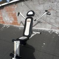 Panaca palestra