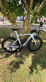 Pinarello New Dogma F My 2026 Taglai 53