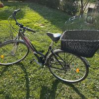 Cestino porta cane per bicicletta