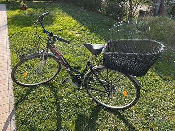 Cestino porta cane per bicicletta