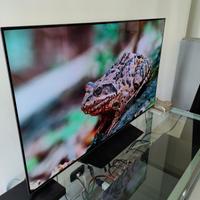 LG Oled 55B6V