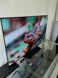 LG Oled 55B6V