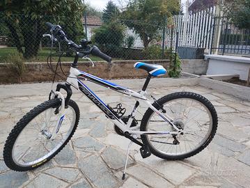 Mountain-bike pennarola