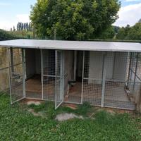 Box per cani
