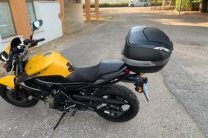 Yamaha XJ6 600 - 2010