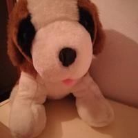 Peluche cane