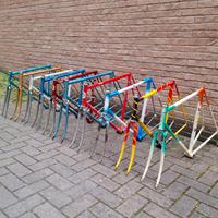 TELAI BICI CORSA CAMPAGNOLO 